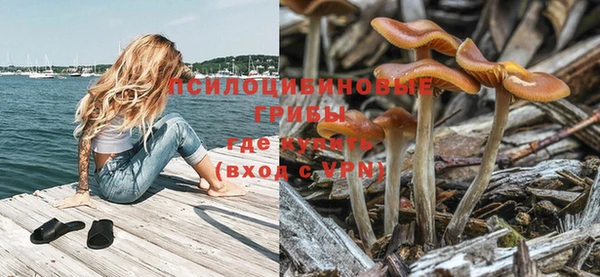 гашик Володарск