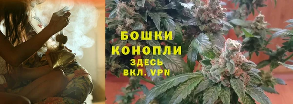 гашик Володарск