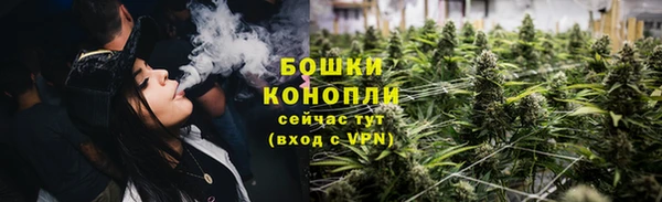 винт Бородино